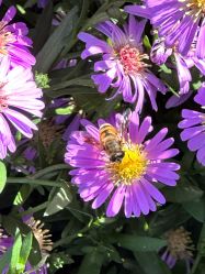 -大望京儿童游乐场