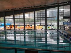 -南山文体中心-游泳馆