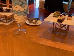 -龙之梦万丽酒店青餐厅