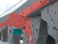 -滨江攀岩