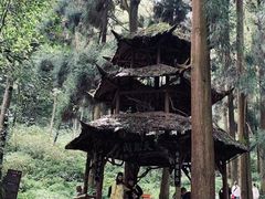 -青城山