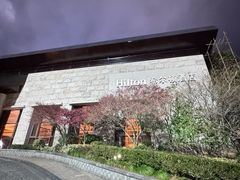 -三清山希尔顿度假酒店