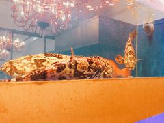 -东门烤鸭店(鼓楼店)