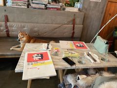 -the rug 飞毯 (朝阳公园店)