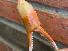 -豊 胜手丼