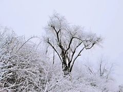 -九皇山景区