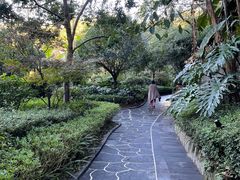 -腾冲洞山温泉村