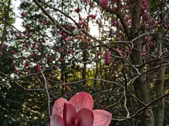 -广州市流溪河国家森林公园