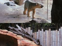 -珠海长隆海洋王国