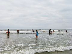 -日照海滨国家森林公园