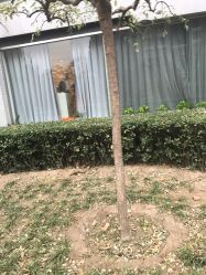 -康颜SPA自然疗愈皮肤管理中心