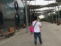 -巴克创奇梦工厂