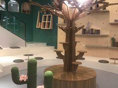 -飞行喵MR PILOT|猫舍·猫咖(静安大融城店)