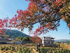 -塔川景区