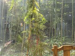 -袁亮今日陶艺(苹果社区总店)