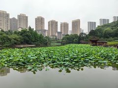 -龙头寺公园