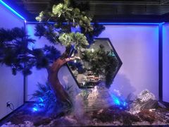 -绿茶餐厅(成都大悦城店)