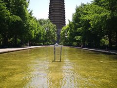 -玲珑塔公园