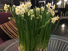 -天津水晶宫饭店