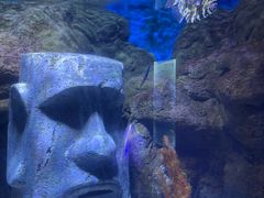 -南昌融创海世界