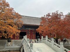 -香山公园