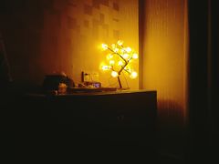 -禧瑞 ·丝浴主题·水疗·spa(中山公园店)