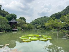 -云溪植物园