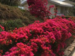 -那琴半岛地质海洋公园