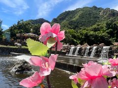 -京东石林峡风景区