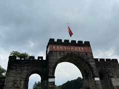 -铁山坪森林公园