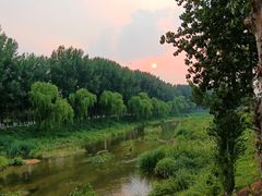 -东郊湿地公园