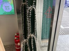 -仙雨林·奶茶鲜果茶(书院巷店)