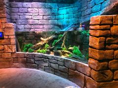 -沈阳海洋探索中心