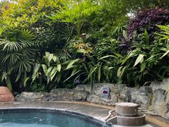 -剑河仰阿莎温泉小镇