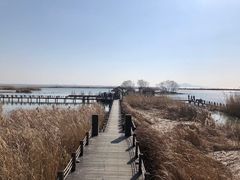 -苏州太湖湖滨国家湿地公园