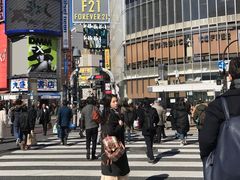 -涩谷区