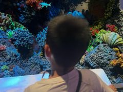 -中国湿地博物馆