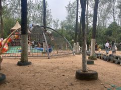 -合肥滨湖国家森林公园