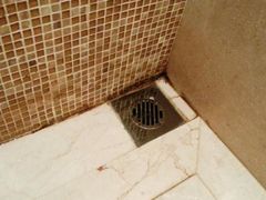 地漏太脏太恶心-无锡君来洲际酒店