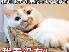 -七欣天香辣蟹火锅(苏州相城VIP总店)