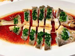 -西郊5号·Maggie 5