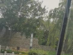 -苏州古运河游船(新市桥码头)
