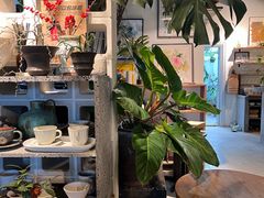 -自由生长植物工作室(深港花卉中心店)