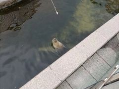 -太原动物园