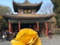 -西安碑林博物馆