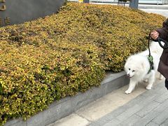 -国际青年会议酒店