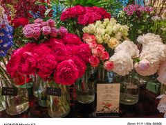 -深圳威尼斯英迪格酒店-邻芙花廊下午茶·NINFA GALLERY·蛋糕·咖啡