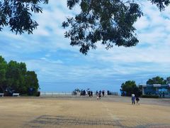 -广东惠东海龟国家级自然保护区