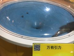 -扬州科技馆