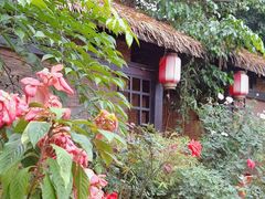 -园林美食城·本土农家菜(杨和镇店)